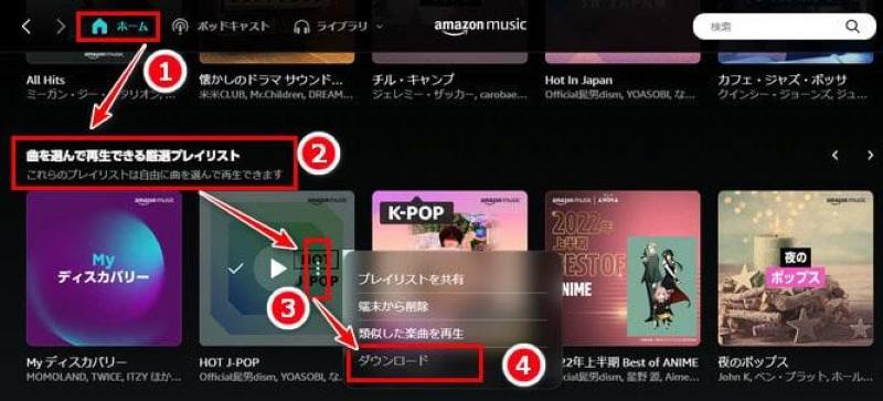 Download curated playlists on your PC