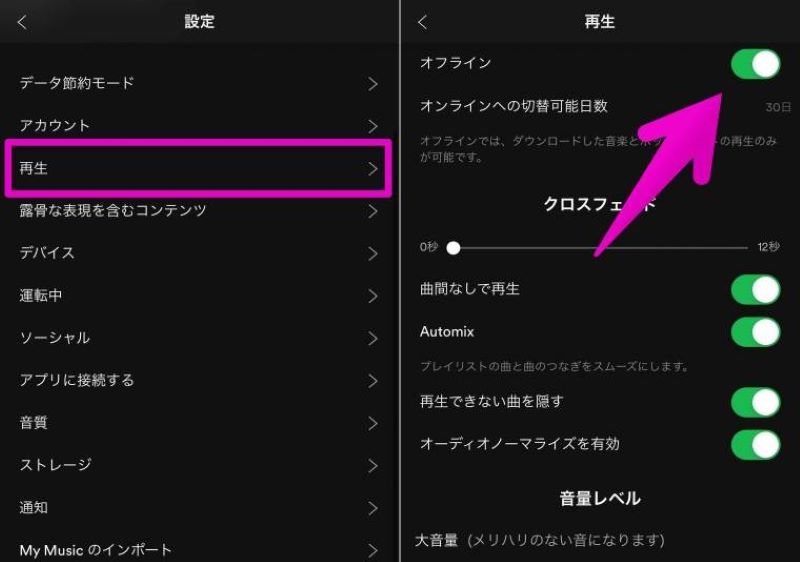 Turn on offline mode
