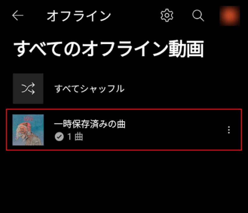 Check the songs saved on your iPhone