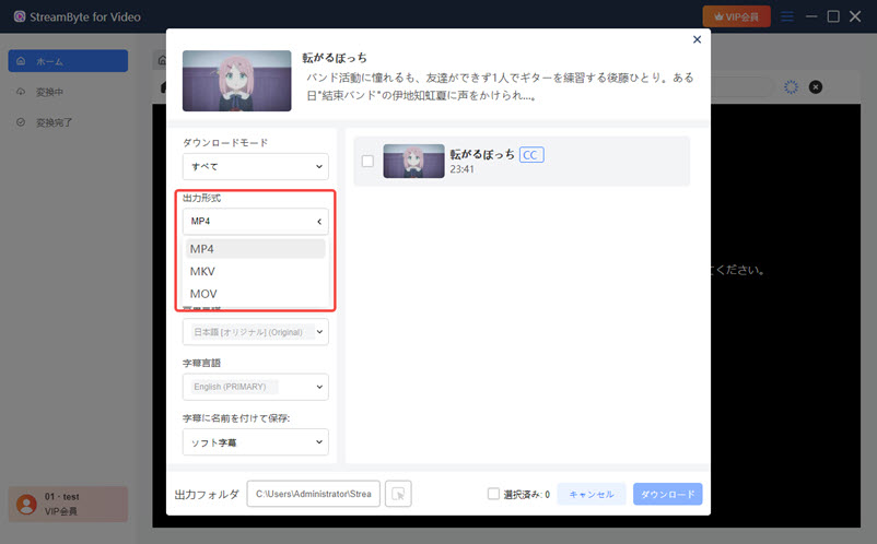 選擇 MP4 輸出格式